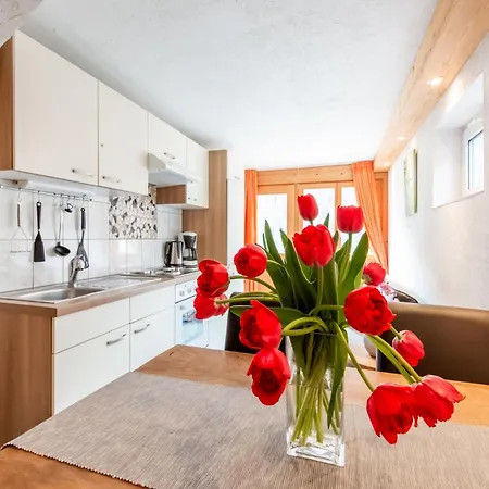 Urbane In With Balcony * Sankt Gallenkirch